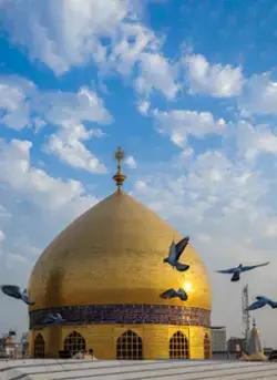 صورة طير الحمام وهو يحلق فوق قبة حرم الإمام علي عليه السلام 